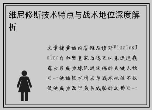 维尼修斯技术特点与战术地位深度解析